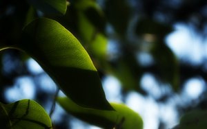 平台核心概念详解